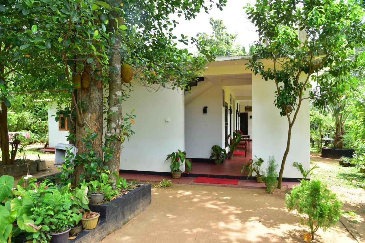 Smashing Inn Dambulla Luaran gambar