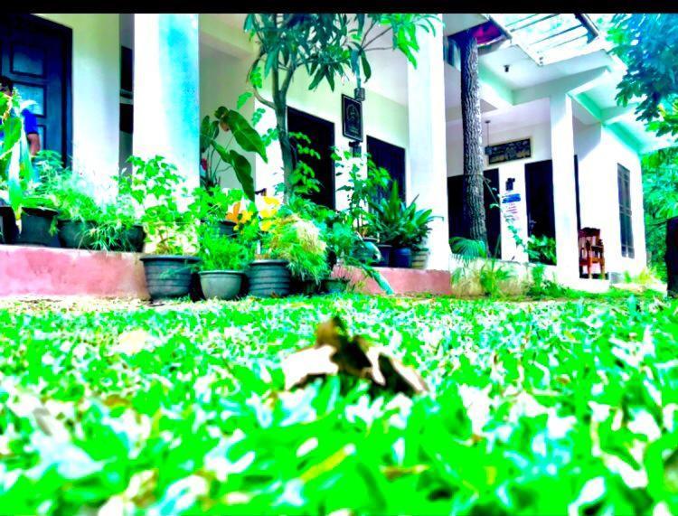Smashing Inn Dambulla Luaran gambar